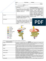 TALLER_DIGESTION_NUTRICION_B22 (1)