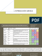 Ayudantia Gu A 3 Interacci N G Nica 2024