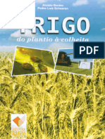 Resumo Trigo Do Plantio A Colheita Aluizio Borem