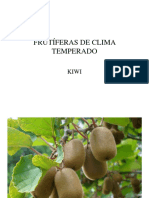 FRUTÍFERAS DE CLIMA TEMPERADO - KIWI