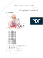 GPSL - ÔN CHƯƠNG 3 - HÔ HẤP