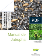 FACT Jatropha Handbook - Espanol[1]