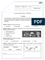 Educação Física 5º Ano