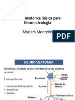 3 - Neuroanatomia Neuropsicologia I