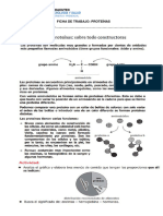 Ficha de Trabajo Presencial Proteinas