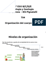 T04 - bg3ESO-23-24-Org Cuerpo Humano