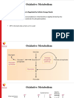 Oxidative Metabolism 2