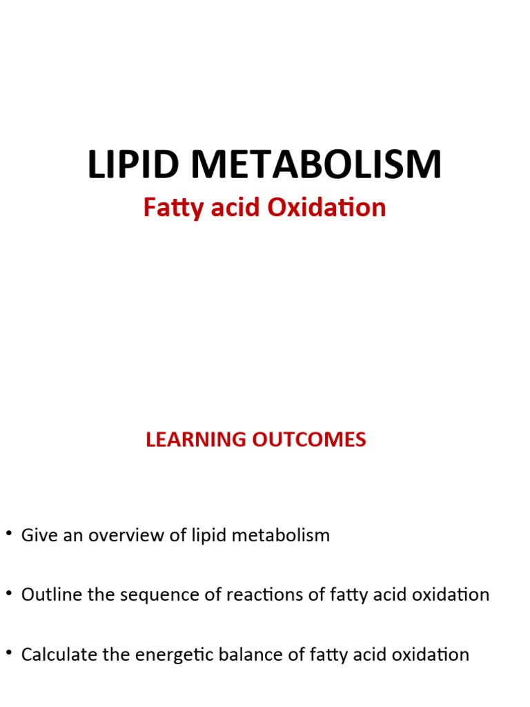 Fatty Acid Oxidation Overview | PDF | Fatty Acid | Lipid