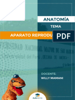Anatomía - Aparato Reproductor