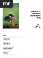 Ambiente, Imagens Dispersas 2008 - Dossier de Apresentação