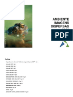 Ambiente, Imagens Dispersas 2008 - Dossier de Apresentação