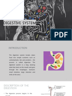 Digestive System