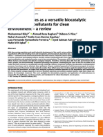 Oxidoreductases As A Versatile Biocatalytic