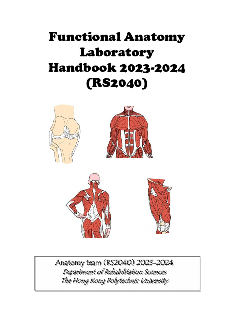 Functional Anatomy Lab Handbook 2023-24 | PDF | Pelvis | Foot