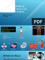 Organização Celular