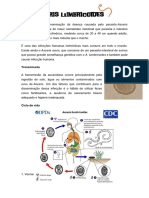 Ascaris Lumbricoides