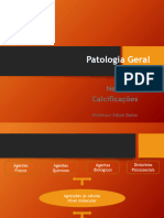 PGR 3 Patologia Geral Necrose Calcificação