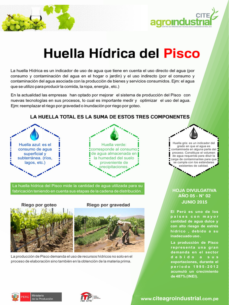 Huella Hidrica - Pisco | PDF | Agua | Riego