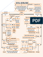 Mapa Conceptual Del Sistema Respiratorio