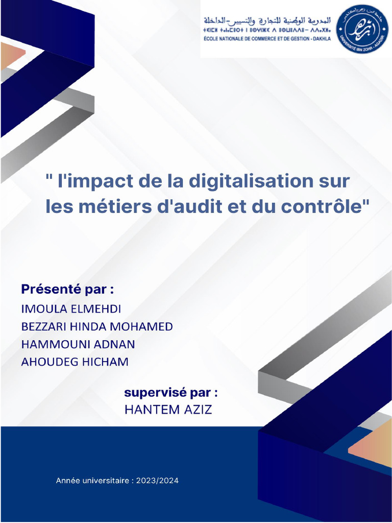 Impact de la Digitalisation sur l'Audit | PDF | Audit | Risque