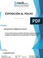 Exposición Al Polvo