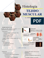 4. Tejido Muscular