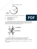 Entrenamiento para El Examen