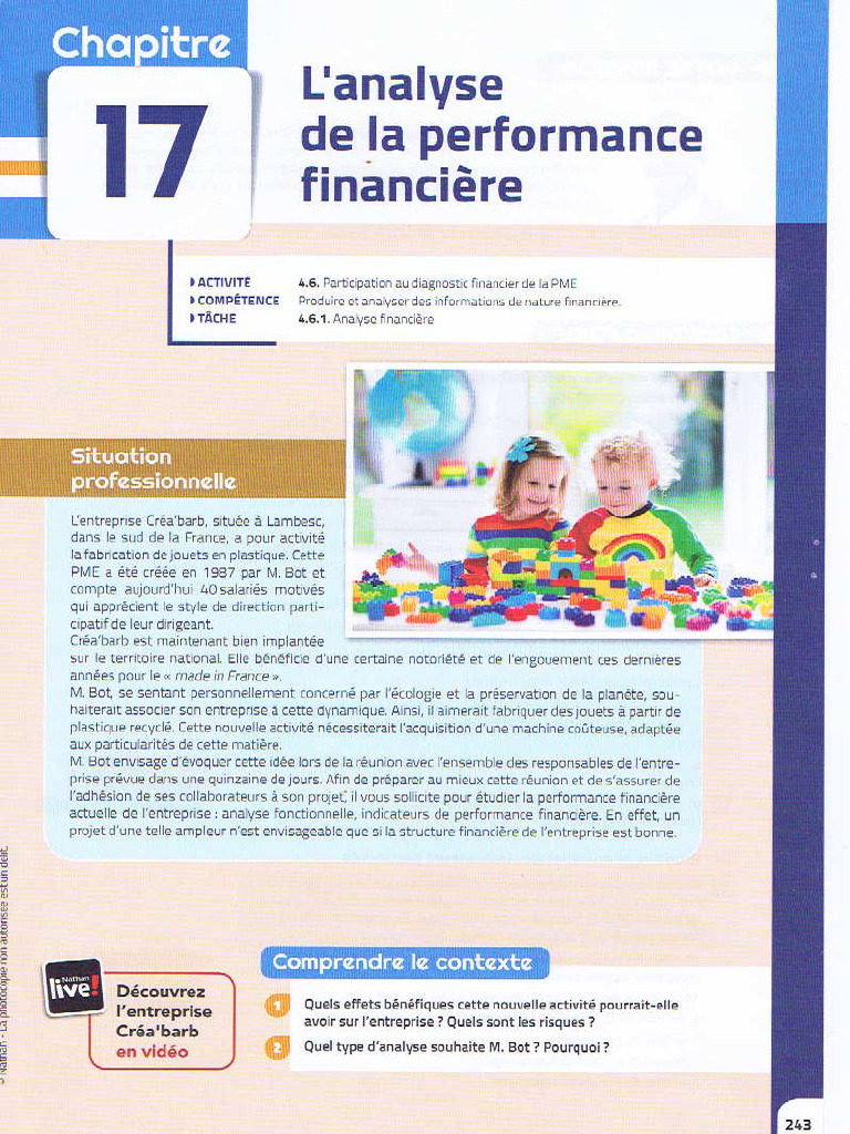 Chap17 Lanalyse de La Performance Financiere | PDF