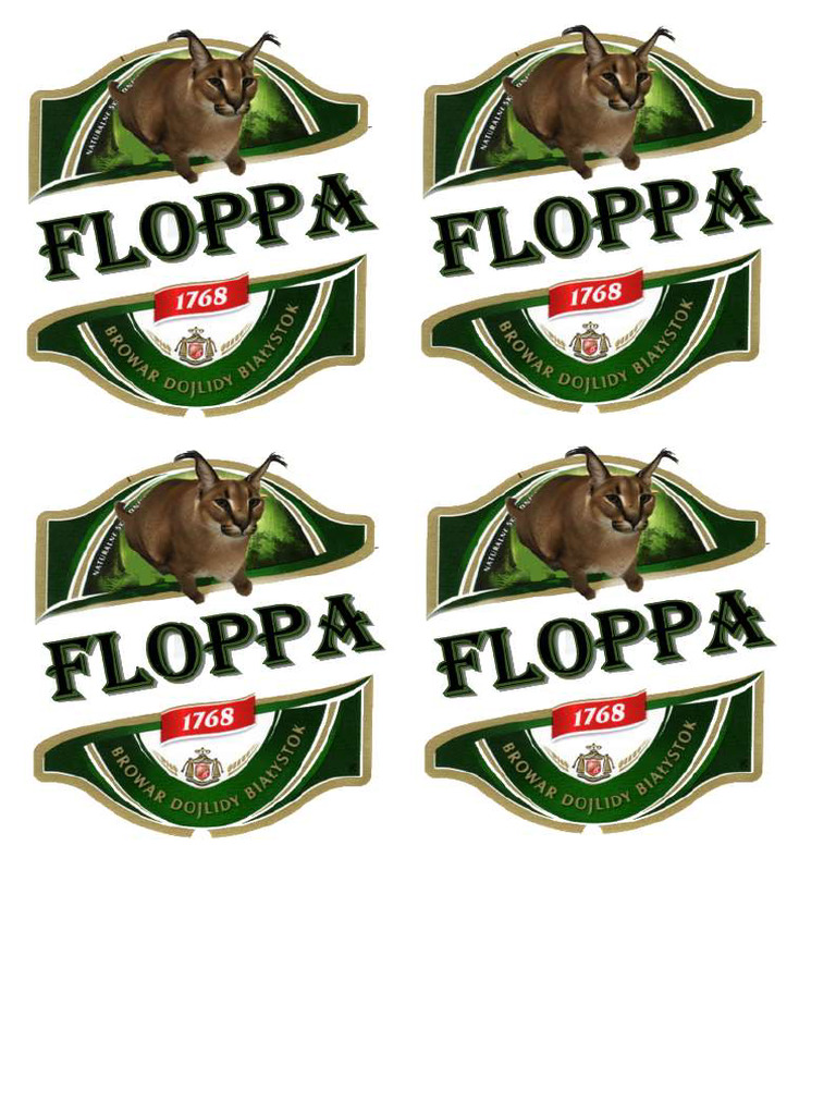 Flopp A Beer | PDF