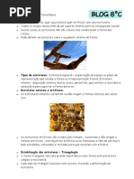 Resumo educação tecnológica - ESTRUTURAS