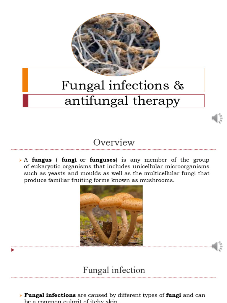 Antifungals PDF Fungus Candidiasis