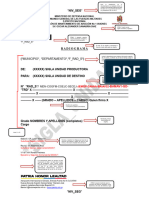 Manuales Formato Radiograma