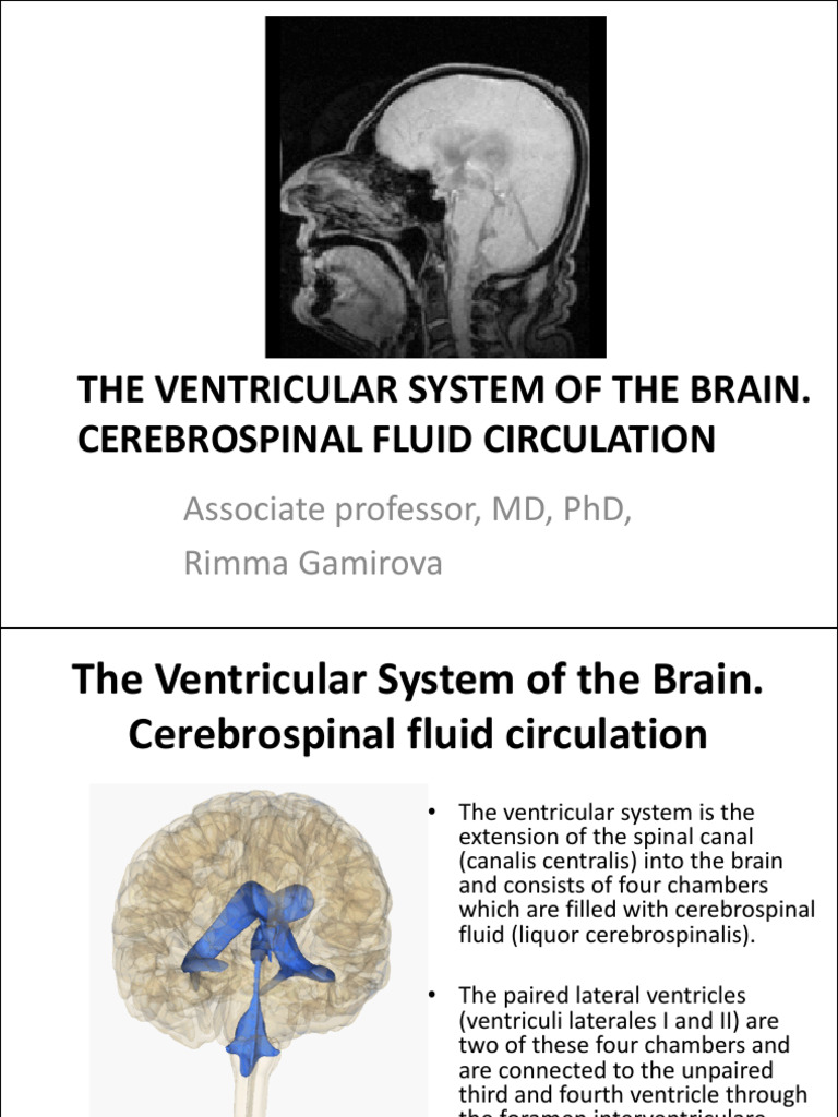 5 - Hydrocephalus 4 Course 2022 | PDF | Cerebrospinal Fluid | Brain