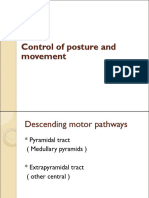 Control of posture and movement