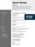 Samir B. Santos CV PDF