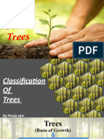 Classification of Trees