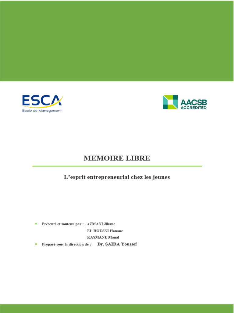 Esprit entrepreneurial des jeunes en RDC | PDF | Entrepreneuriat | Chômage