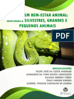 Enriquecimento_Ambiental_Para_Gatos_Domi