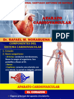 Aparato Cardiovascular 2024 - 2