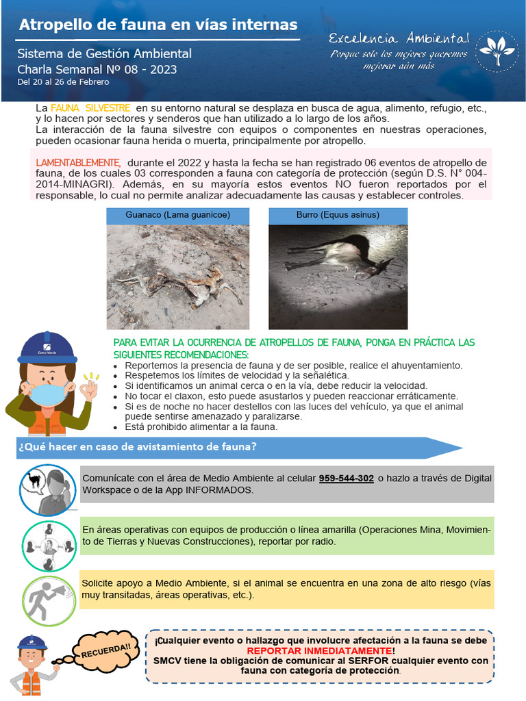 Atropello De Fauna Salvaje: Guía Completa Sobre Tu Responsabilidad Legal. - xpmbha9