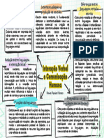 Mapa Mental (Pragmática)