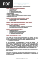 Direito Constitucional II - Direitos Fundamentais