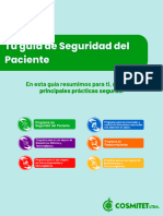 Guía de Seguridad Del Paciente