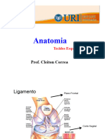 Aula 3 - Tendão e Ligamento