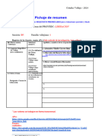 Modelo S1-S3 - Formato de La Ficha de Resumen - 2024 I