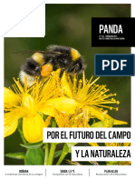 Panda163 PDF
