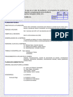 Caso práctico NIA 300 Expo