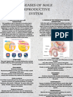 Disorders of Male Reproductive System - 20240204 - 230027 - 0000