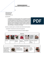 Informe de Práctica 11