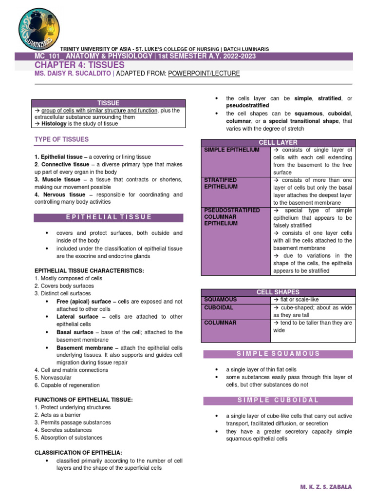 Anatomy of Epithelial Tissues Explained | PDF | Epithelium | Tissue ...